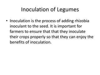 Inoculation of Legumes
• Inoculation is the process of adding rhizobia
inoculant to the seed. It is important for
farmers to ensure that that they inoculate
their crops properly so that they can enjoy the
benefits of inoculation.
 