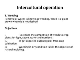 Intercultural operation
1. Weeding
Removal of weeds is known as weeding. Weed is a plant
grown where it is not desired
Objectives
i. To reduce the competition of weeds to crop
plants for light, space, water and nutrients.
ii. To get expected output (yield) from crop
cultivation.
iii. Weeding in dry condition fulfills the objective of
natural mulching.
 