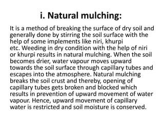 i. Natural mulching:
It is a method of breaking the surface of dry soil and
generally done by stirring the soil surface with the
help of some implements like niri, khurpi
etc. Weeding in dry condition with the help of niri
or khurpi results in natural mulching. When the soil
becomes drier, water vapour moves upward
towards the soil surface through capillary tubes and
escapes into the atmosphere. Natural mulching
breaks the soil crust and thereby, opening of
capillary tubes gets broken and blocked which
results in prevention of upward movement of water
vapour. Hence, upward movement of capillary
water is restricted and soil moisture is conserved.
 