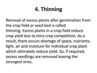 4. Thinning
Removal of excess plants after germination from
the crop field or seed bed is called
thinning. Excess plants in a crop field reduce
crop yield due to intra crop competition. As a
result, there occurs shortage of space, nutrients,
light, air and moisture for individual crop plant
which ultimately reduce yield. So, if required,
excess seedlings are removed leaving the
strongest ones.
 