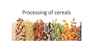 Processing of cereals
 