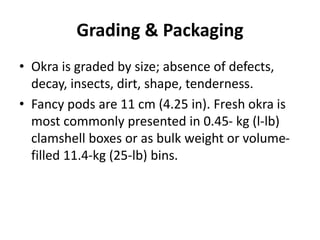 Grading & Packaging
• Okra is graded by size; absence of defects,
decay, insects, dirt, shape, tenderness.
• Fancy pods ar...