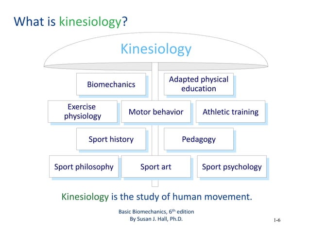 introduction-of-sports-biomechanics.ppt | Physical Therapy | Wellness
