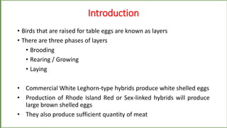 1588245322-10-broiler-and-layer-management.pptx