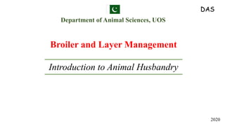 Introduction to Animal Husbandry
Department of Animal Sciences, UOS
Broiler and Layer Management
2020
DAS
 