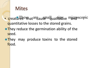 Mites
• creatures that cause qualitative and
quantitative losses to the stored grains.
⚫They reduce the germination ability of the
seed.
⚫They may produce toxins to the stored
food.
⚫These are small, tiny microscopic
 