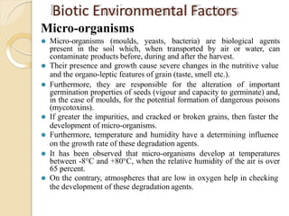 Biotic Environmental Factors
Micro-organisms
⚫ Micro-organisms (moulds, yeasts, bacteria) are biological agents
present in the soil which, when transported by air or water, can
contaminate products before, during and after the harvest.
⚫ Their presence and growth cause severe changes in the nutritive value
and the organo-leptic features of grain (taste, smell etc.).
⚫ Furthermore, they are responsible for the alteration of important
germination properties of seeds (vigour and capacity to germinate) and,
in the case of moulds, for the potential formation of dangerous poisons
(mycotoxins).
⚫ If greater the impurities, and cracked or broken grains, then faster the
development of micro-organisms.
⚫ Furthermore, temperature and humidity have a determining influence
on the growth rate of these degradation agents.
⚫ It has been observed that micro-organisms develop at temperatures
between -8°C and +80°C, when the relative humidity of the air is over
65 percent.
⚫ On the contrary, atmospheres that are low in oxygen help in checking
the development of these degradation agents.
 