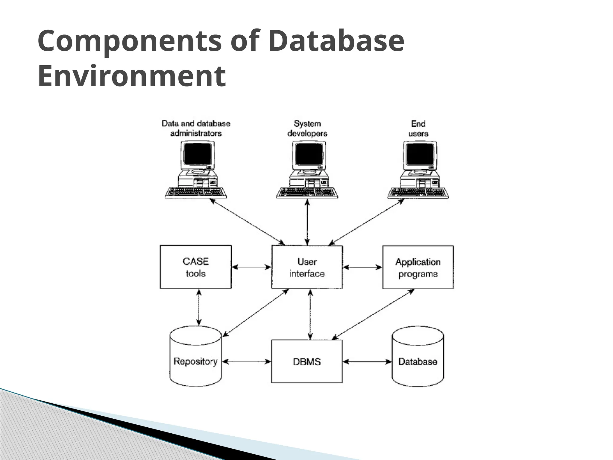 Components of Database
Environment
 