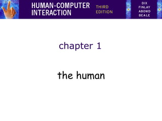 chapter 1
the human
 