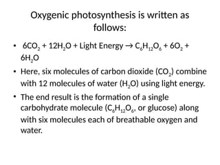Comprehensive Overview of Photosynthesis: Mechanisms, Pigments, and ...