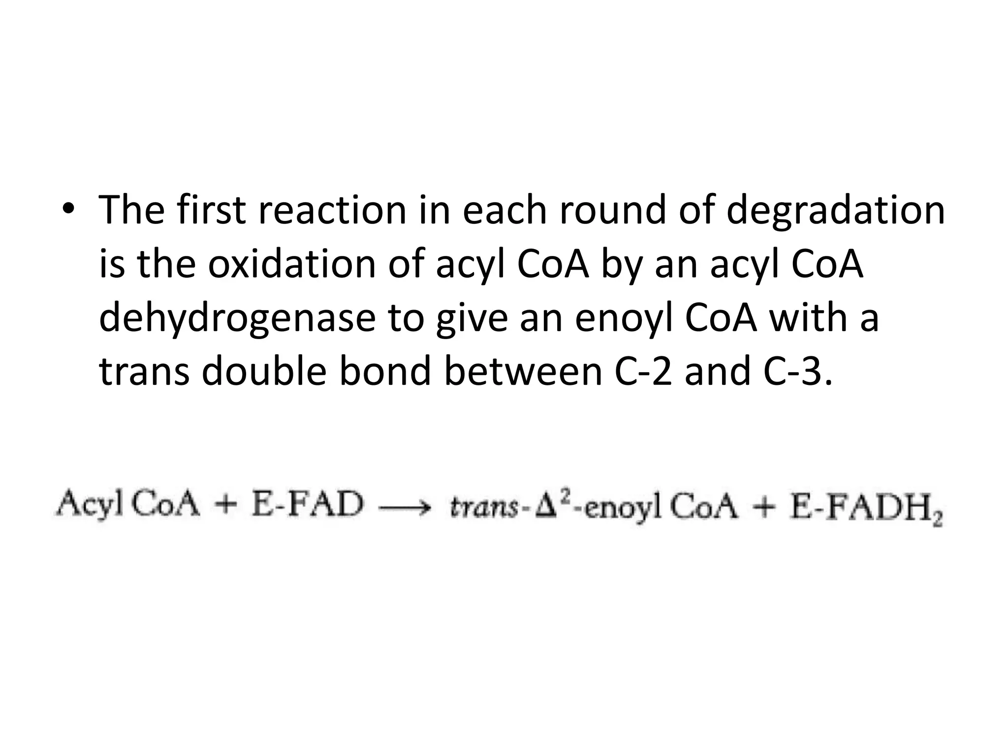 fatty-acid-metabolism-ppt