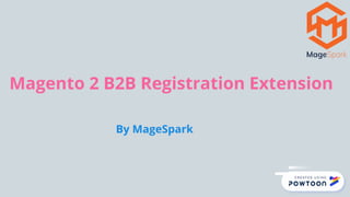 Magento 2 B2B Registration Extension