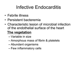 Infective Endocarditis
• Febrile illness
• Persistent bacteremia
• Characteristic lesion of microbial infection
of the endothelial surface of the heart
– Variable in size
– Amorphous mass of fibrin & platelets
– Abundant organisms
– Few inflammatory cells
The vegetation
 