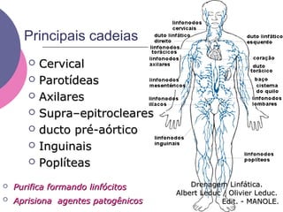 Principais cadeias
 CervicalCervical
 ParotídeasParotídeas
 AxilaresAxilares
 Supra–epitroclearesSupra–epitrocleares
 ducto pré-aórticoducto pré-aórtico
 InguinaisInguinais
 PoplíteasPoplíteas
 Purifica formando linfócitosPurifica formando linfócitos
 Aprisiona agentes patogênicosAprisiona agentes patogênicos
Drenagem Linfática.Drenagem Linfática.
Albert Leduc / Olivier Leduc.Albert Leduc / Olivier Leduc.
Edit. - MANOLEEdit. - MANOLE.
 