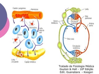Tratado de Fisiologia Médica
Guyton & Hall - 10ª Edição
Edit. Guanabara - Koogan
 