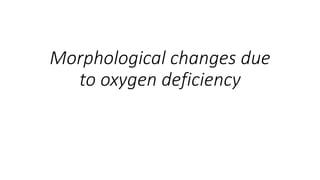 Morphological changes due
to oxygen deficiency
 