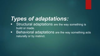 Building Adaptations adaptations-of-land-plants-towards-temperature-extremes (1).pptx