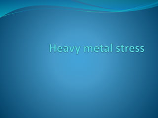 heavy-metal-stress of plants.pptx