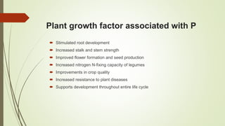 Plant growth factor associated with P
 Stimulated root development
 Increased stalk and stem strength
 Improved flower formation and seed production
 Increased nitrogen N-fixing capacity of legumes
 Improvements in crop quality
 Increased resistance to plant diseases
 Supports development throughout entire life cycle
 