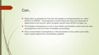 Con..
 Plants take up phosphorus from the soil solution as orthophosphate ion: either
HPO4-2 or H2PO4-. The proportion in which these two forms are absorbed is
determined by the soil pH, when at higher soil pH more HPO4-2 is taken up.
 The mobility of phosphorus in soil is very limited and therefore, plant roots can take
up phosphorus only from their immediate surroundings.
 Since concentration of phosphorus in the soil solution is low, plants use mostly
active uptake against the concentration gradient.
 