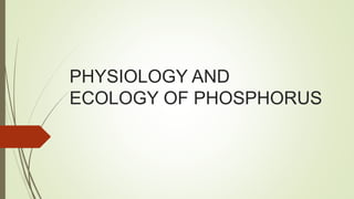 PHYSIOLOGY AND
ECOLOGY OF PHOSPHORUS
 