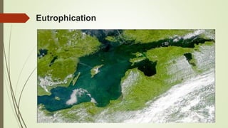 Eutrophication
 