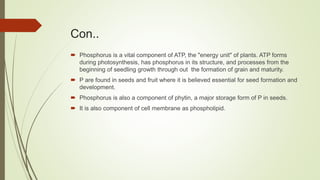 Con..
 Phosphorus is a vital component of ATP, the "energy unit" of plants. ATP forms
during photosynthesis, has phosphorus in its structure, and processes from the
beginning of seedling growth through out the formation of grain and maturity.
 P are found in seeds and fruit where it is believed essential for seed formation and
development.
 Phosphorus is also a component of phytin, a major storage form of P in seeds.
 It is also component of cell membrane as phospholipid.
 
