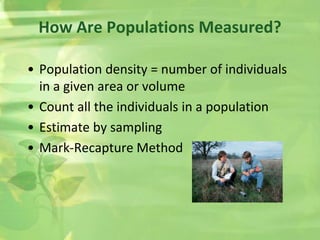 • Population density = number of individuals
in a given area or volume
• Count all the individuals in a population
• Estimate by sampling
• Mark-Recapture Method
How Are Populations Measured?
 