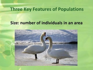 Three Key Features of Populations
Size: number of individuals in an area
 
