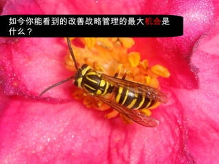 如今你能看到的改善战略管理的最大 机会 是什么？ 