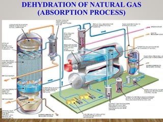 DEHYDRATION OF NATURAL GAS
(ABSORPTION PROCESS)
 
