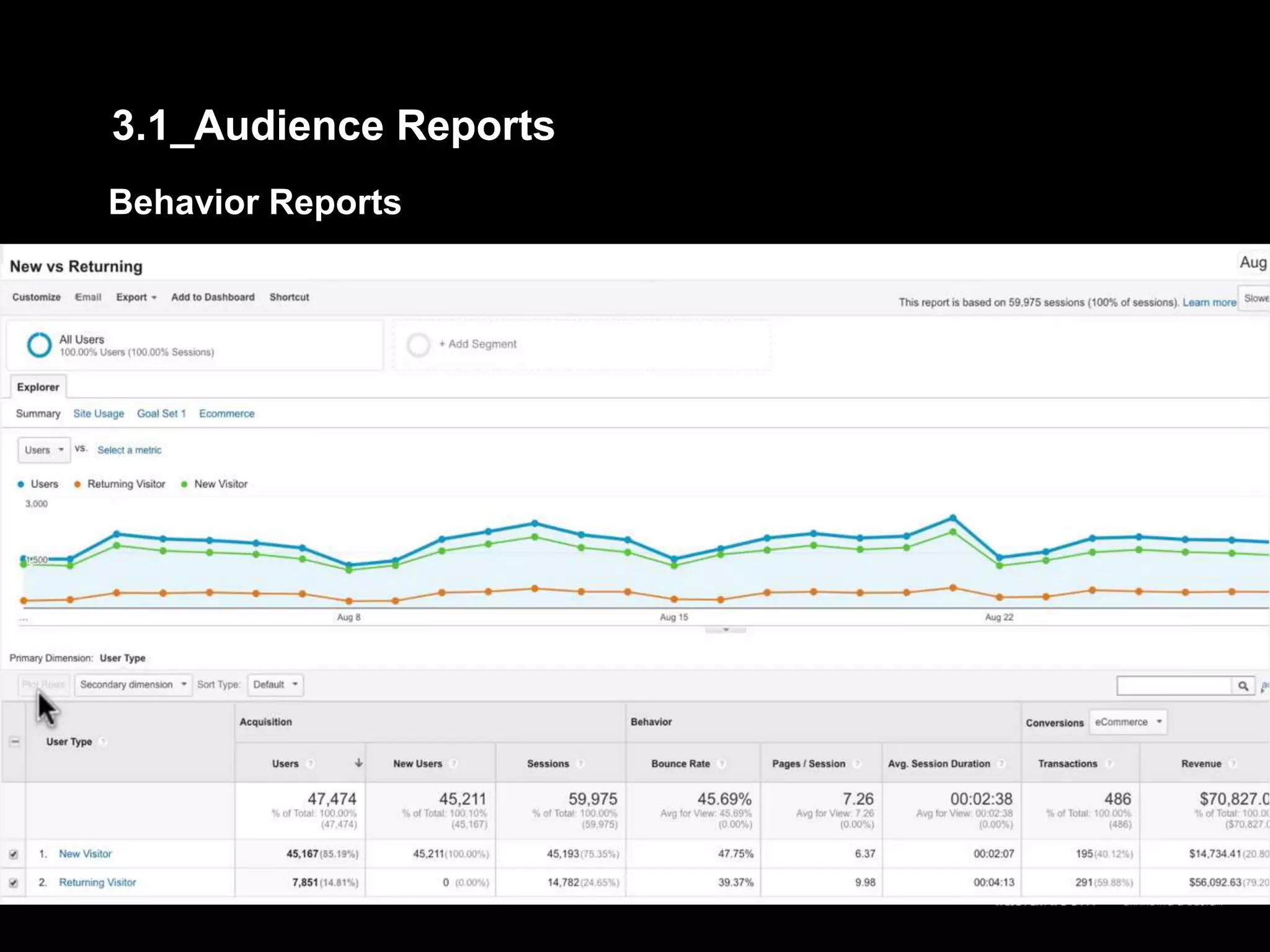 Behavior Reports
3.1_Audience Reports
 