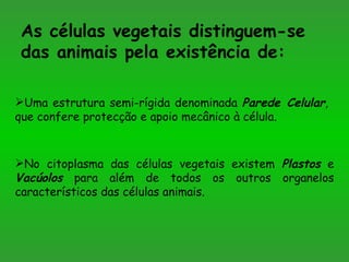 As células vegetais distinguem-se das animais pela existência de: Uma estrutura semi-rígida denominada  Parede Celular , que confere protecção e apoio mecânico à célula. No citoplasma das células vegetais existem  Plastos  e  Vacúolos  para além de todos os outros organelos característicos das células animais. 