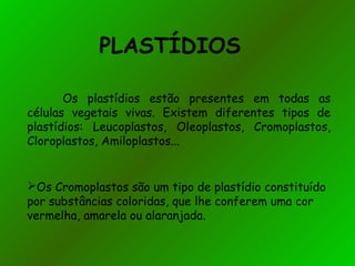 PLASTÍDIOS
Os plastídios estão presentes em todas as
células vegetais vivas. Existem diferentes tipos de
plastídios: Leucoplastos, Oleoplastos, Cromoplastos,
Cloroplastos, Amiloplastos...
Os Cromoplastos são um tipo de plastídio constituído
por substâncias coloridas, que lhe conferem uma cor
vermelha, amarela ou alaranjada.
 