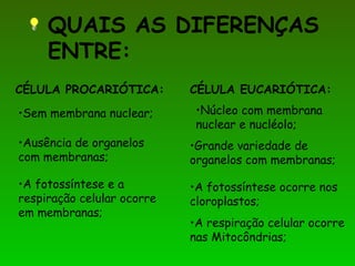 QUAIS AS DIFERENÇAS
ENTRE:
•A fotossíntese e a
respiração celular ocorre
em membranas;
•A fotossíntese ocorre nos
cloroplastos;
•A respiração celular ocorre
nas Mitocôndrias;
CÉLULA PROCARIÓTICA: CÉLULA EUCARIÓTICA:
•Sem membrana nuclear;
•Ausência de organelos
com membranas;
•Núcleo com membrana
nuclear e nucléolo;
•Grande variedade de
organelos com membranas;
 