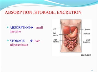 FUNCTIONS

 it is essential for the hepatic synthesis of coagulation factor II,
  V, VII, IX, X.

 CLOTTING – it prevent...