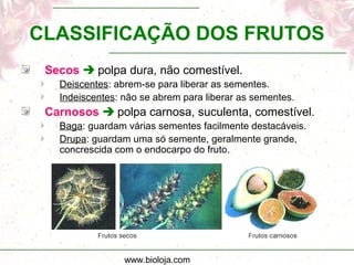 www.bioloja.com
CLASSIFICAÇÃO DOS FRUTOS
Secos  polpa dura, não comestível.
Deiscentes: abrem-se para liberar as sementes.
Indeiscentes: não se abrem para liberar as sementes.
Carnosos  polpa carnosa, suculenta, comestível.
Baga: guardam várias sementes facilmente destacáveis.
Drupa: guardam uma só semente, geralmente grande,
concrescida com o endocarpo do fruto.
 