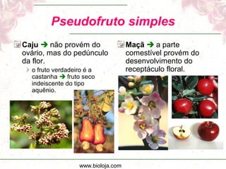 www.bioloja.com
Pseudofruto simples
Caju  não provém do
ovário, mas do pedúnculo
da flor.
o fruto verdadeiro é a
castanha  fruto seco
indeiscente do tipo
aquênio.
Maçã  a parte
comestível provém do
desenvolvimento do
receptáculo floral.
 