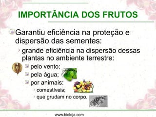 www.bioloja.com
IMPORTÂNCIA DOS FRUTOS
Garantiu eficiência na proteção e
dispersão das sementes:
grande eficiência na dispersão dessas
plantas no ambiente terrestre:
pelo vento;
pela água;
por animais:
comestíveis;
que grudam no corpo.
 