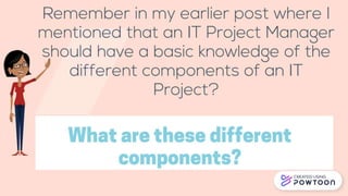 Major Components of an IT Project