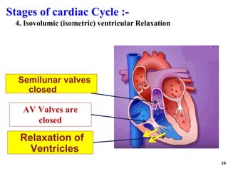Stages of cardiac Cycle :-
10
Relaxation of
Ventricles
AV Valves are
closed
Semilunar valves
closed
4. Isovolumic (isometric) ventricular Relaxation
 