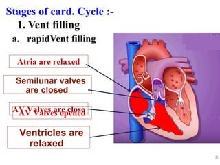 Stages of card. Cycle :-
3
Ventricles are
relaxed
AV Valves are close
Atria are relaxed
Semilunar valves
are closed
1. Vent filling
a. rapidVent filling
AV Valves opened
 