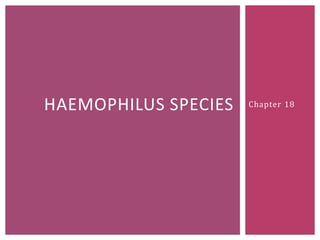 HAEMOPHILUS SPECIES   Chapter 18
 