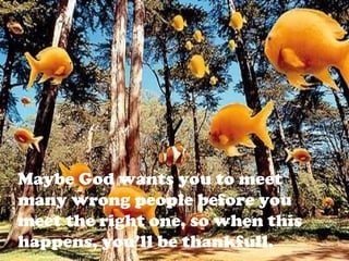 Maybe God wants you to meet
many wrong people before you
meet the right one, so when this
happens, you’ll be thankfull.
 