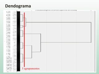 Dendograma
5 agrupamentos
 