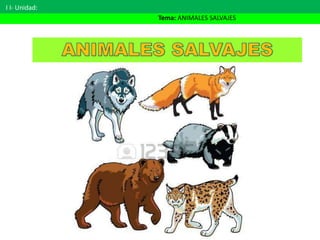 I I- Unidad:
Tema: ANIMALES SALVAJES
 