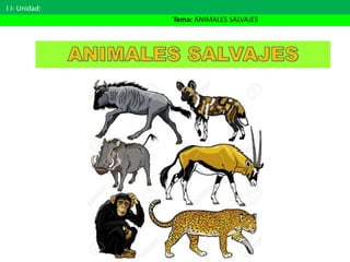 I I- Unidad:
Tema: ANIMALES SALVAJES
 
