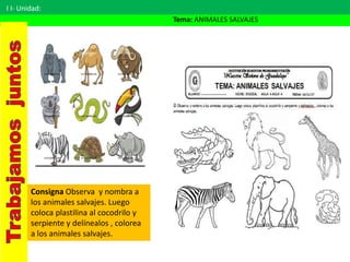 I I- Unidad:
Tema: ANIMALES SALVAJES
Consigna Observa y nombra a
los animales salvajes. Luego
coloca plastilina al cocodrilo y
serpiente y delínealos , colorea
a los animales salvajes.
 