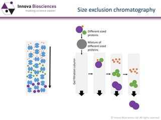 © Innova Biosciences Ltd. All rights reserved 
Mixture of different sized proteins 
Different sized proteins 
Gel filtration column 
Size exclusion chromatography  