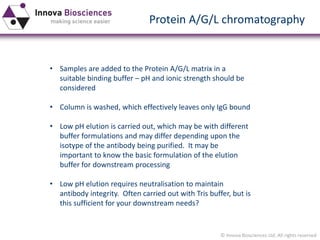 © Innova Biosciences Ltd. All rights reserved 
Protein A/G/L chromatography 
•Samples are added to the Protein A/G/L matrix in a suitable binding buffer –pH and ionic strength should be considered 
•Column is washed, which effectively leaves only IgG bound 
•Low pH elution is carried out, which may be with different buffer formulations and may differ depending upon the isotypeof the antibody being purified. It may be important to know the basic formulation of the elution buffer for downstream processing 
•Low pH elution requires neutralisation to maintain antibody integrity. Often carried out with Tris buffer, but is this sufficient for your downstream needs?  